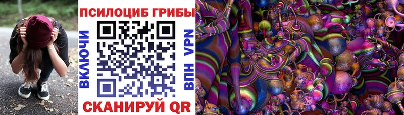 hydra tor  Боровичи  Галлюциногенные грибы MAGIC MUSHROOMS 