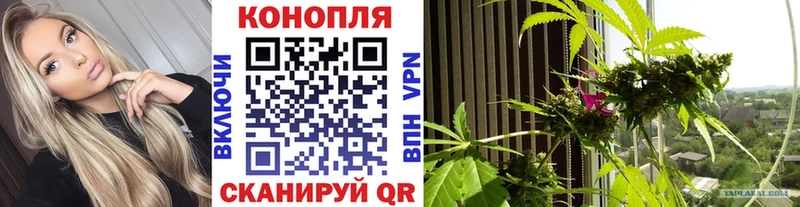 mega сайт  дарк нет наркотические препараты  Каннабис OG Kush  Боровичи 